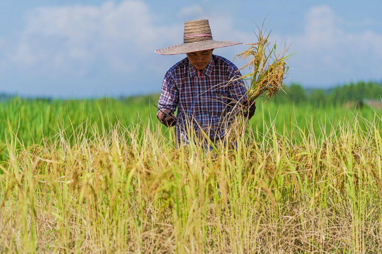 Interdiction d'exportation des produits de consommation importés illustration