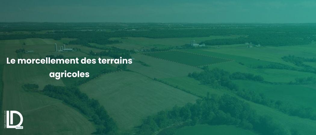 Le morcellement des terrains agricoles illustration