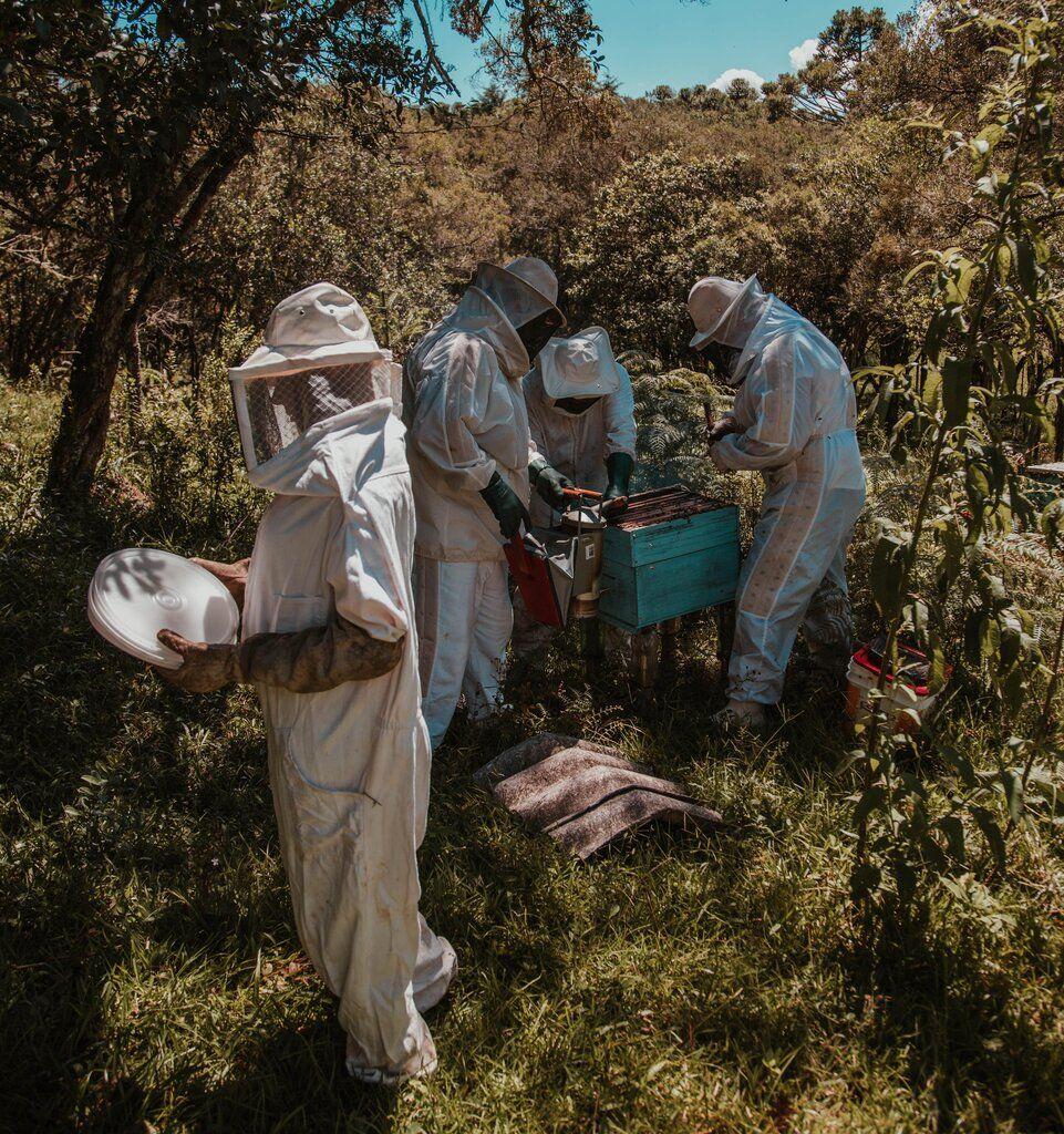 La marque collective illustration