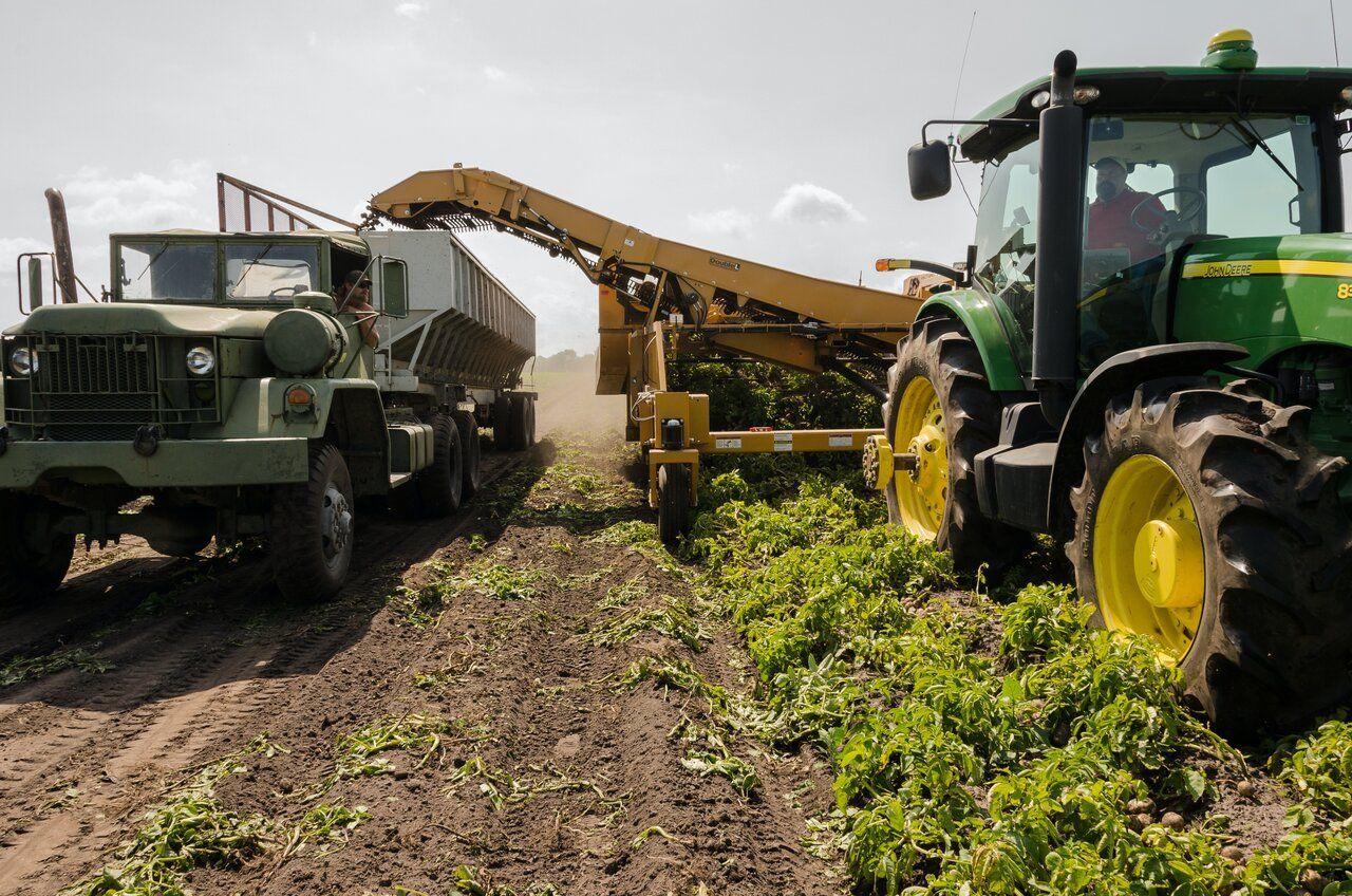 L’IRG sur les bénéfices agricoles illustration