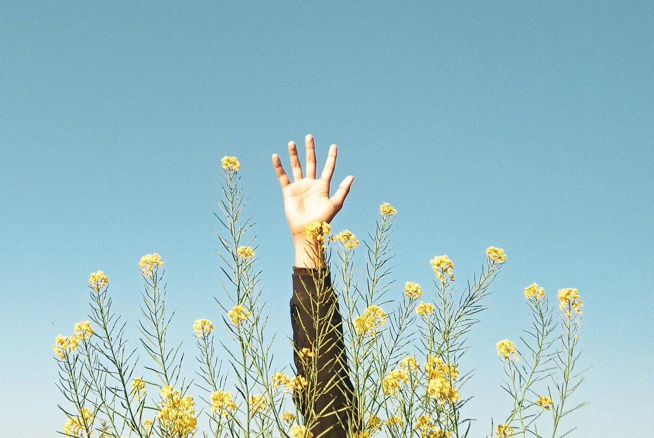 Les activités exonérée fiscalement illustration