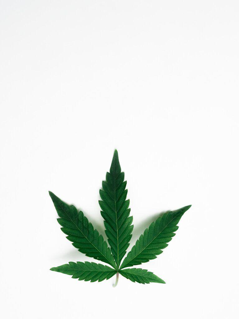 L'office national de lutte contre la drogue et la toxicomanie illustration
