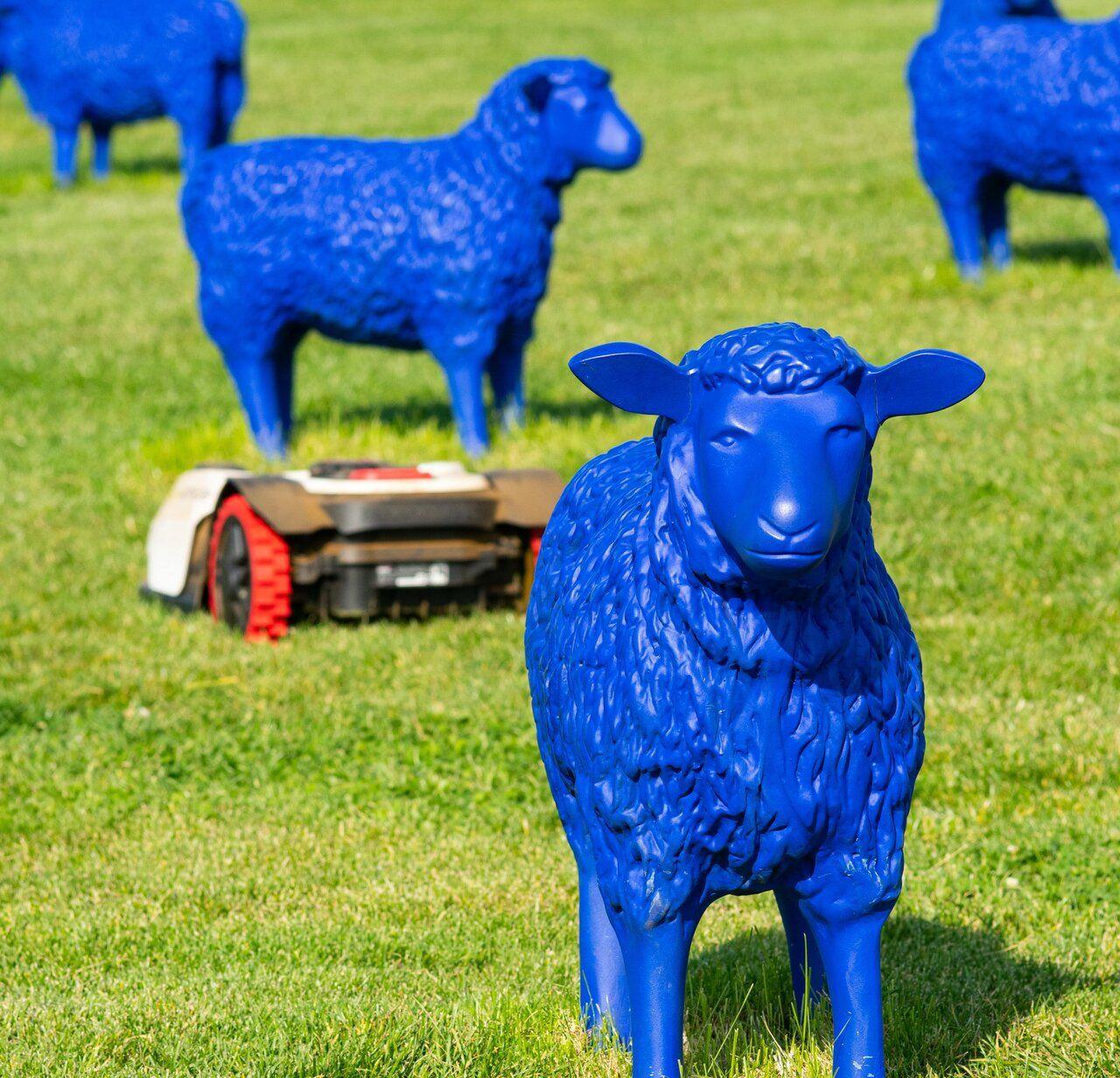 pratiques anticoncurrentielles en Algérie illustration