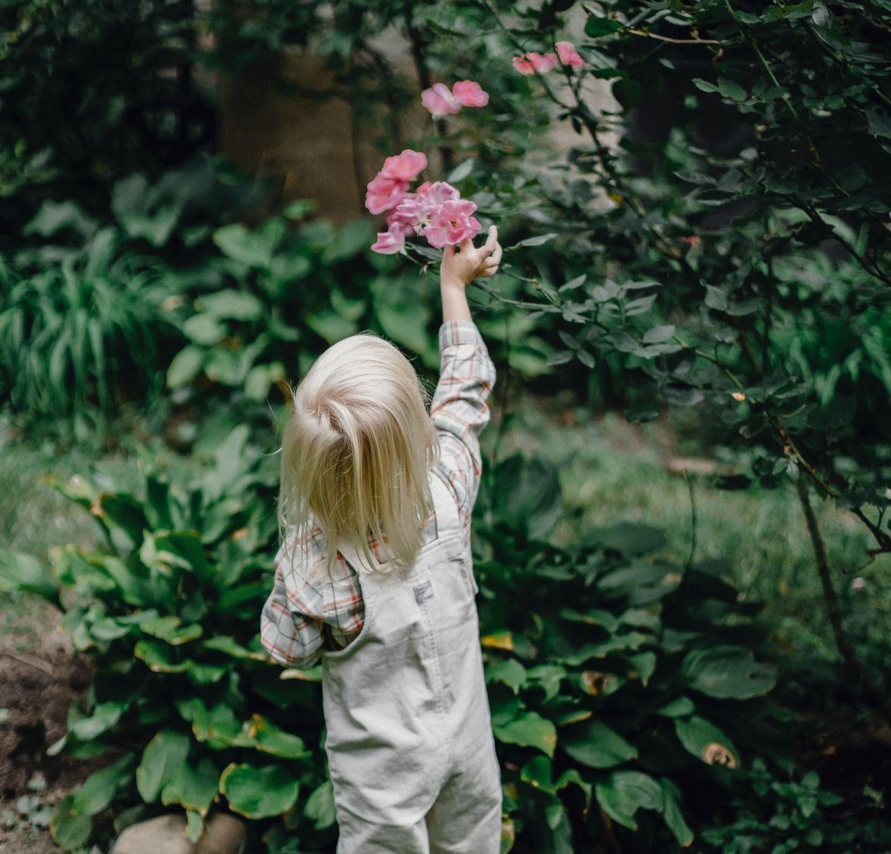 Allocations familiales en Algérie illustration