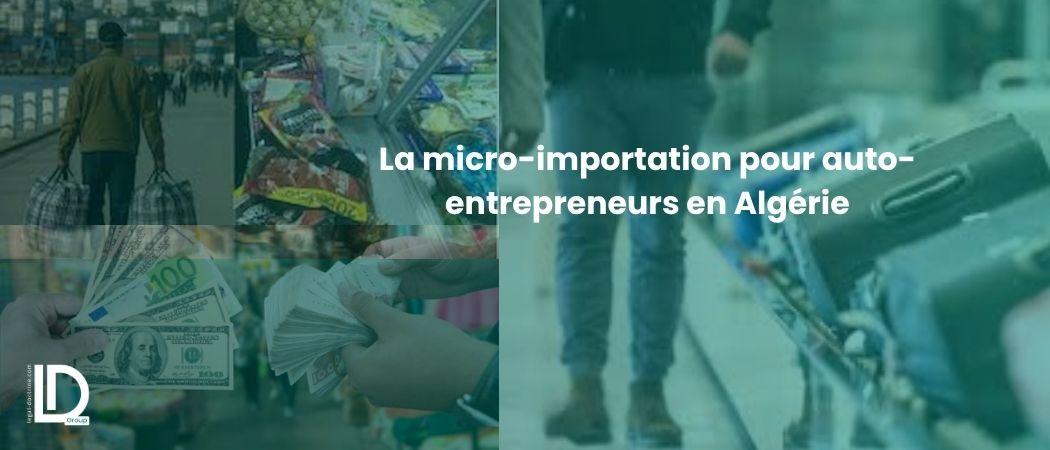 La micro-importation pour auto-entrepreneurs en Algérie illustration