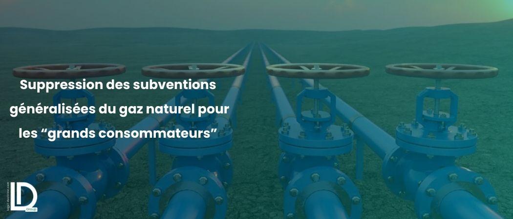Suppression des subventions généralisées du gaz naturel pour les “grands consommateurs” ( industriels) illustration
