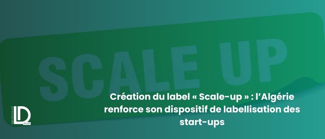 Création du label « Scale-up » : l’Algérie renforce son dispositif de labellisation des start-ups illustration