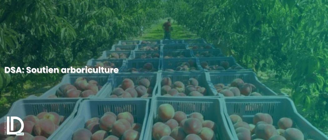 DSA: soutien arboriculture illustration