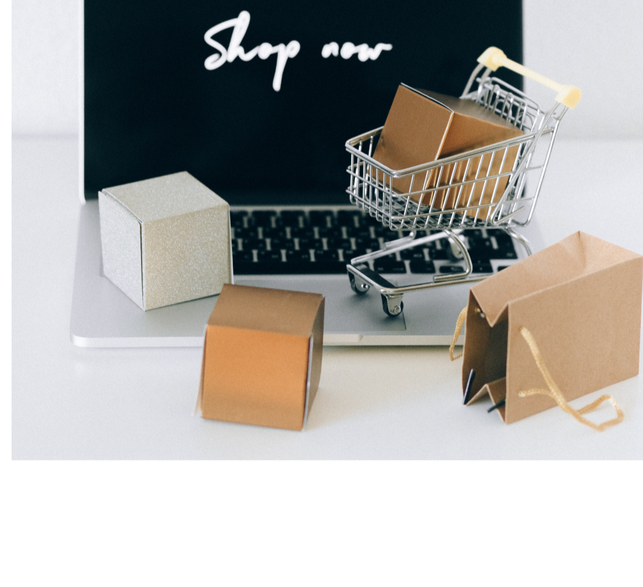 Illustration de l’article E-commerce en Algérie : les conditions d’exercice des activités commerciales en ligne