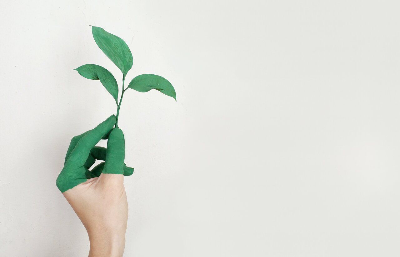 Illustration de l’article Protection de l’environnement en Algérie