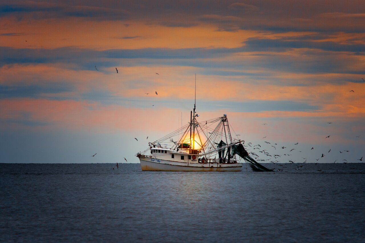 Illustration de l’article Adoption de la loi complétant la loi relative à la pêche et à l'aquaculture en Algérie